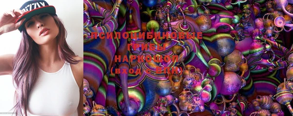 мяу мяу кристалл Арсеньев
