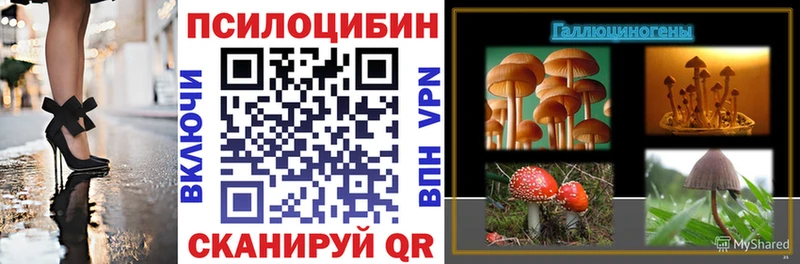 Псилоцибиновые грибы Cubensis  гидра рабочий сайт  Добрянка  цена наркотик 